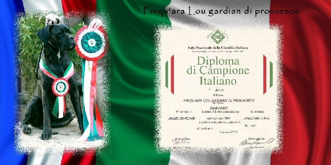 lou gardian di prouvenço - Finqu'ara CHAMPIONNE ITALIENNE!!!
